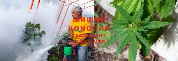 амф Михайловка